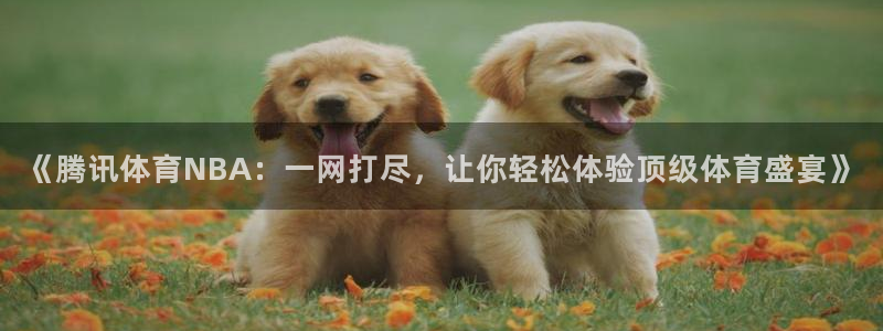 《腾讯体育NBA：一网打尽，让你轻松体验顶级体育盛宴》