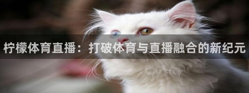 柠檬体育直播：打破体育与直播融合的新纪元