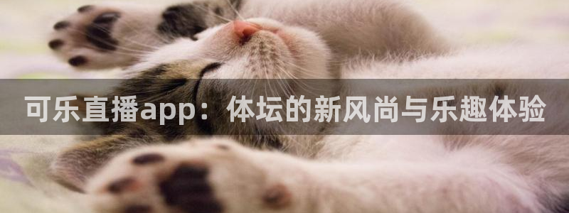 可乐直播app：体坛的新风尚与乐趣体验