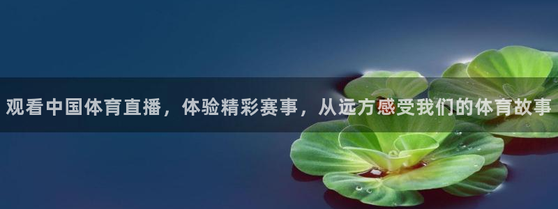 观看中国体育直播，体验精彩赛事，从远方感受我们的体育故事