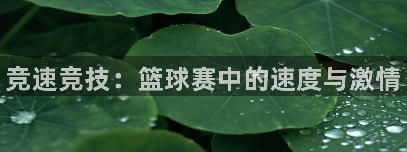 竞速竞技：篮球赛中的速度与激情
