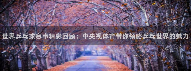 世界乒乓球赛事精彩回顾：中央视体育带你领略乒乓世界的魅力