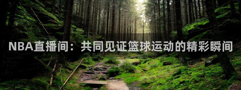 NBA直播间：共同见证篮球运动的精彩瞬间