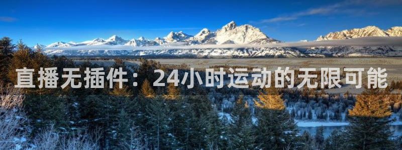 直播无插件：24小时运动的无限可能