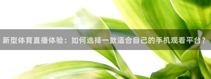 新型体育直播体验：如何选择一款适合自己的手机观看平台？